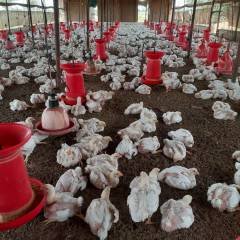 WhatsApp Image 2023-11-09 at 11.24.55_5525498e